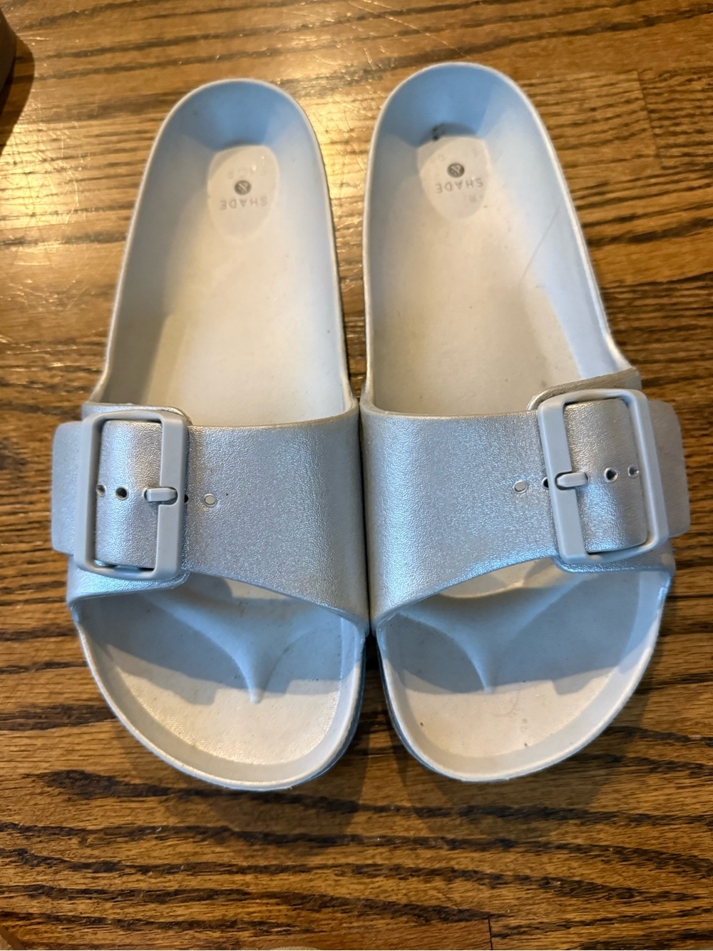Shade & Shore Silver Slide Sandals with Buckle